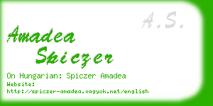 amadea spiczer business card